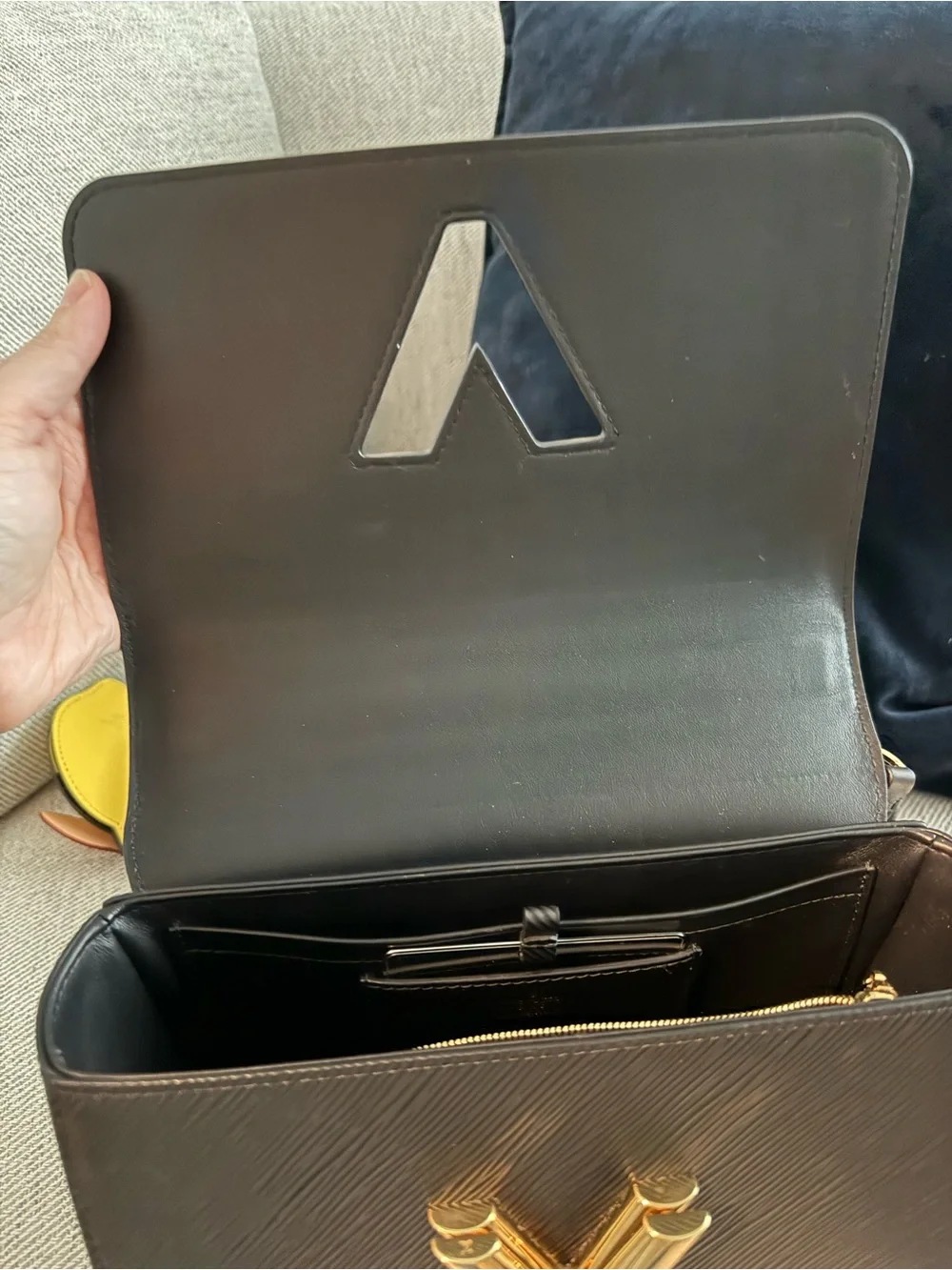 Louis Vuitton lv epi